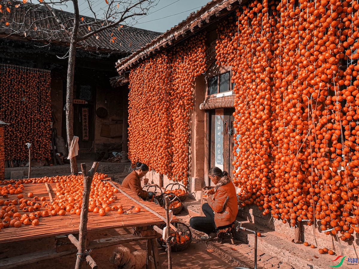 IMG_20201031_141330 ����.jpg