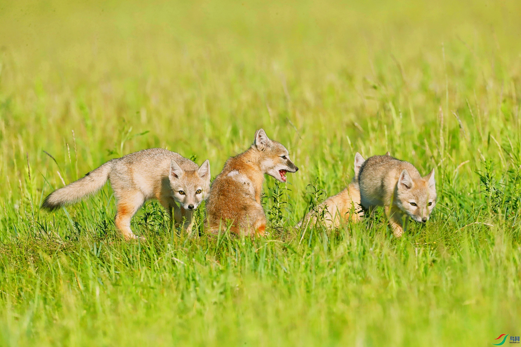 _I4I9789 (3)_����.jpg