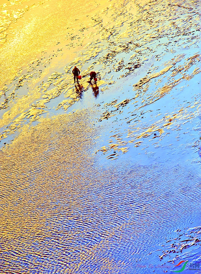 DSC_6884.jpg