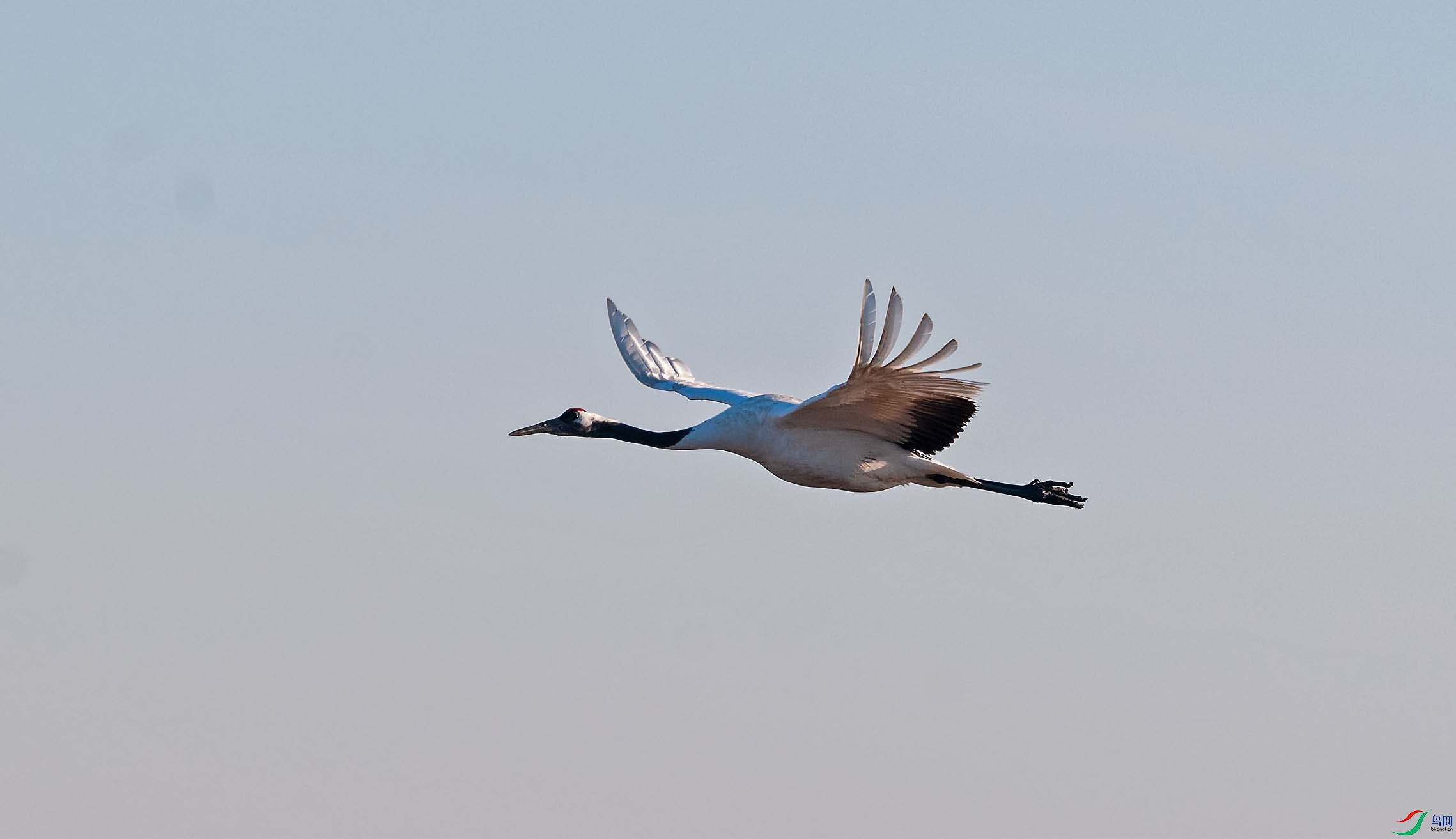DSC_0104-3.jpg