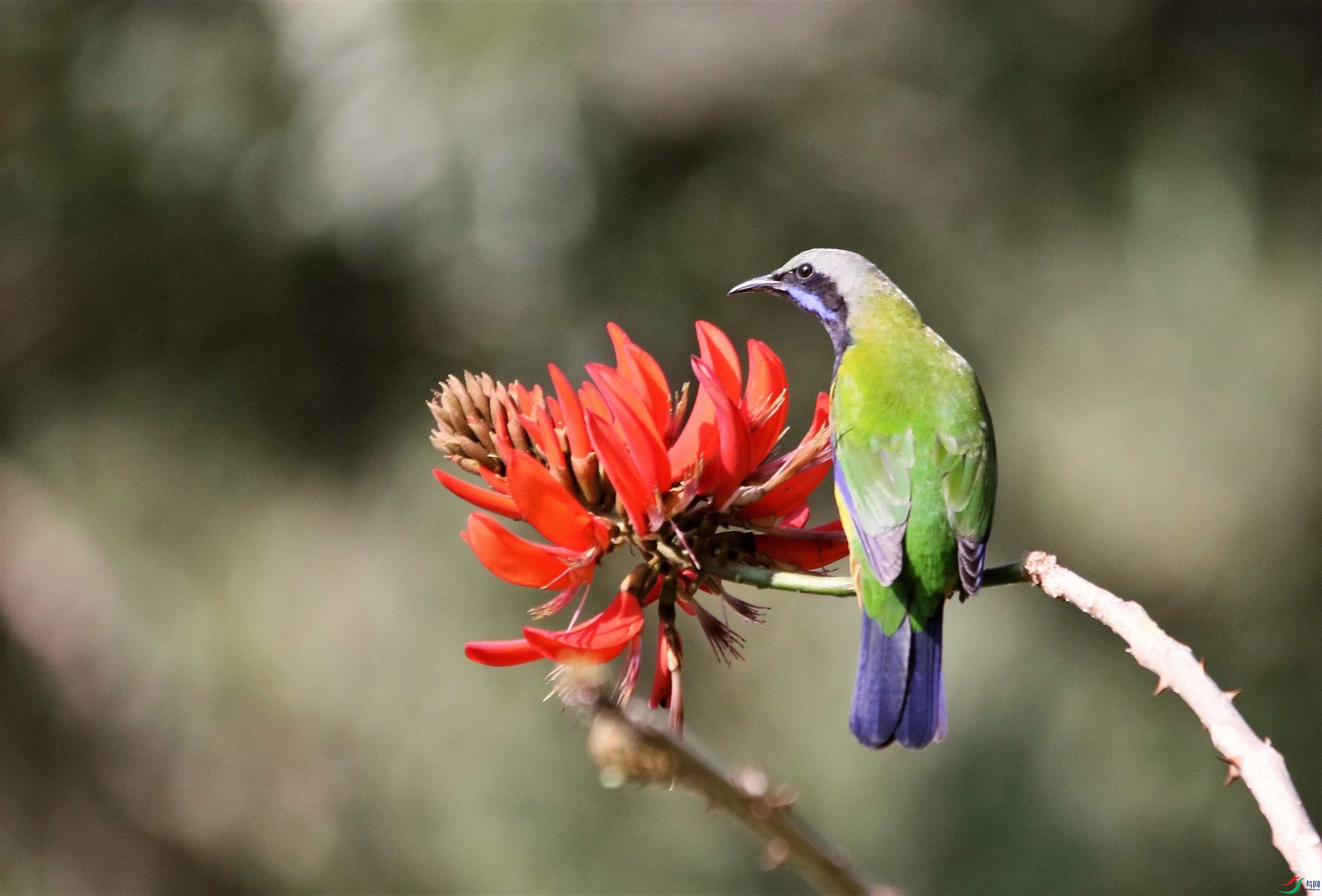 �ȸ�Ҷ�l (156).JPG