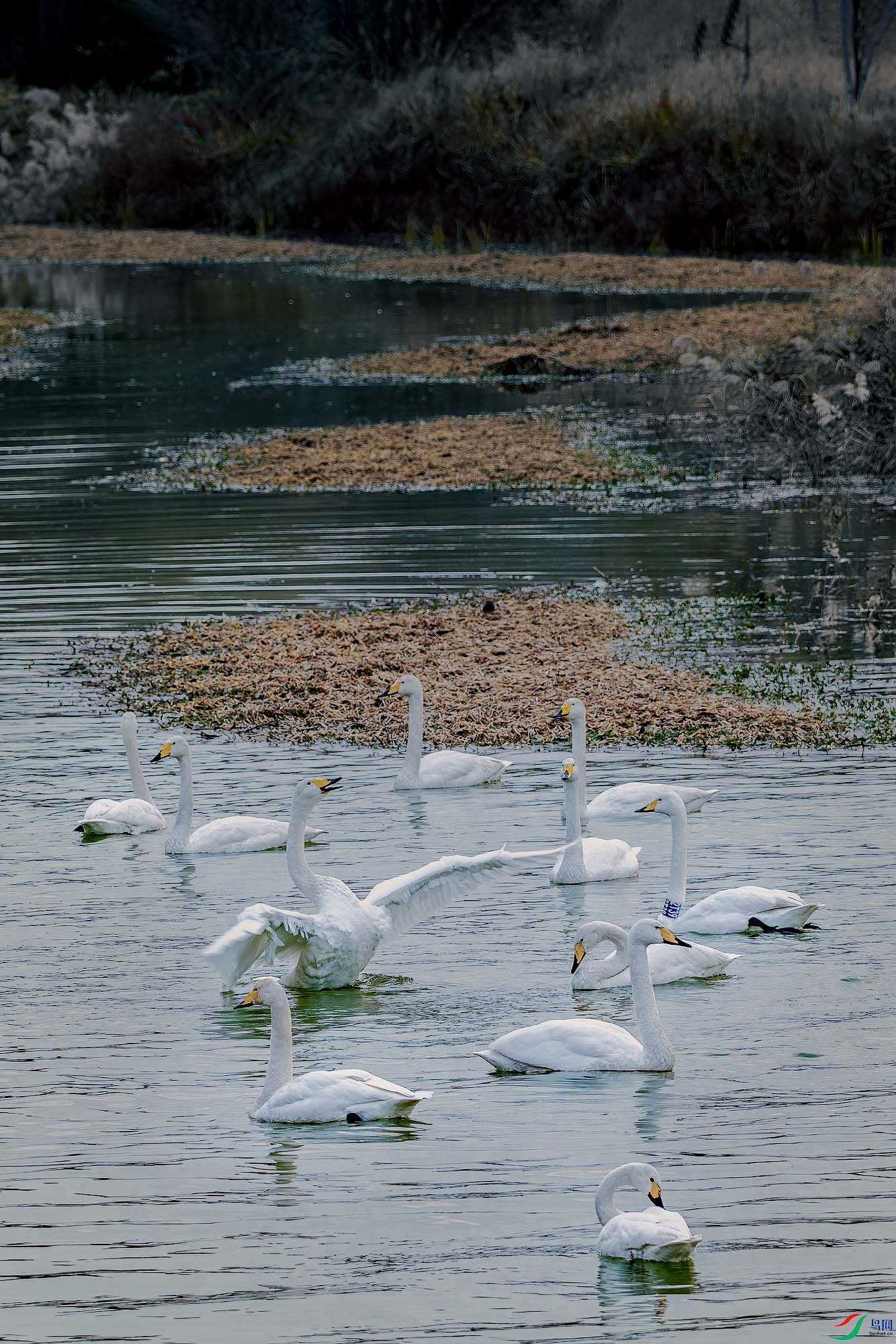 _DSC1378 a����.jpg