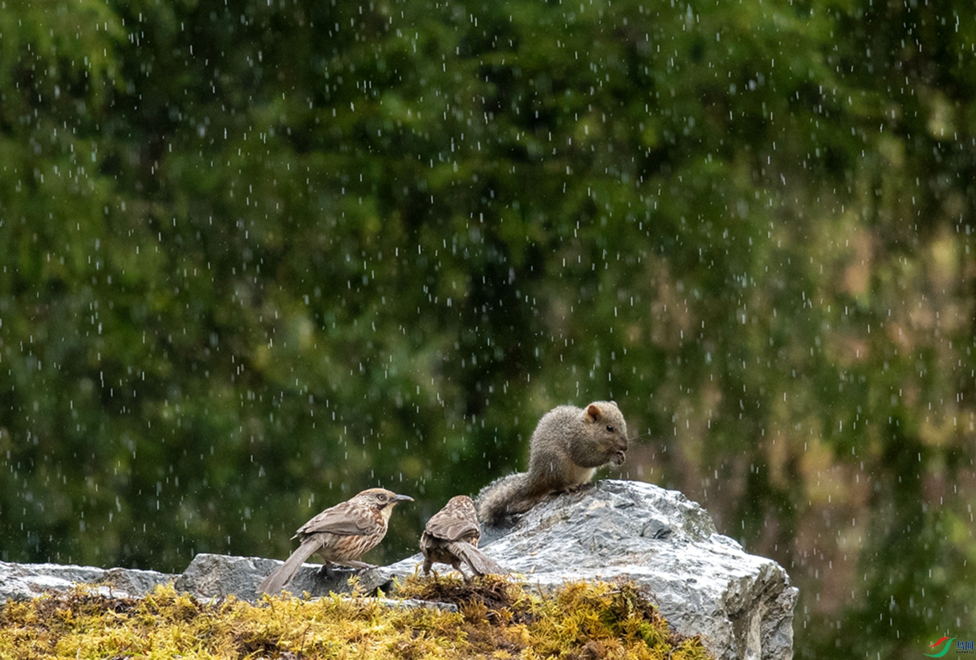 DSC_7886.jpg