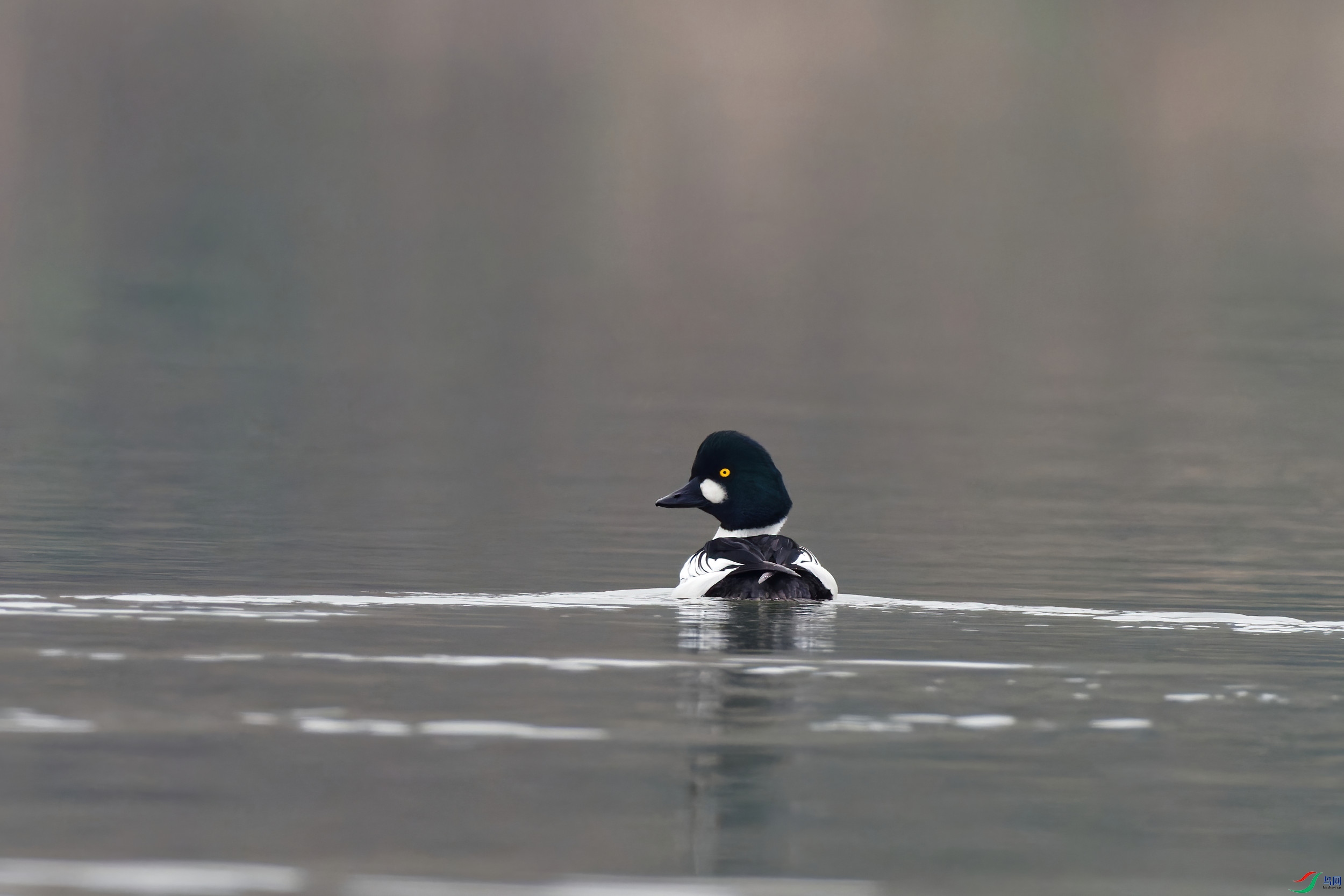 P1220136_DxO-d2.jpg