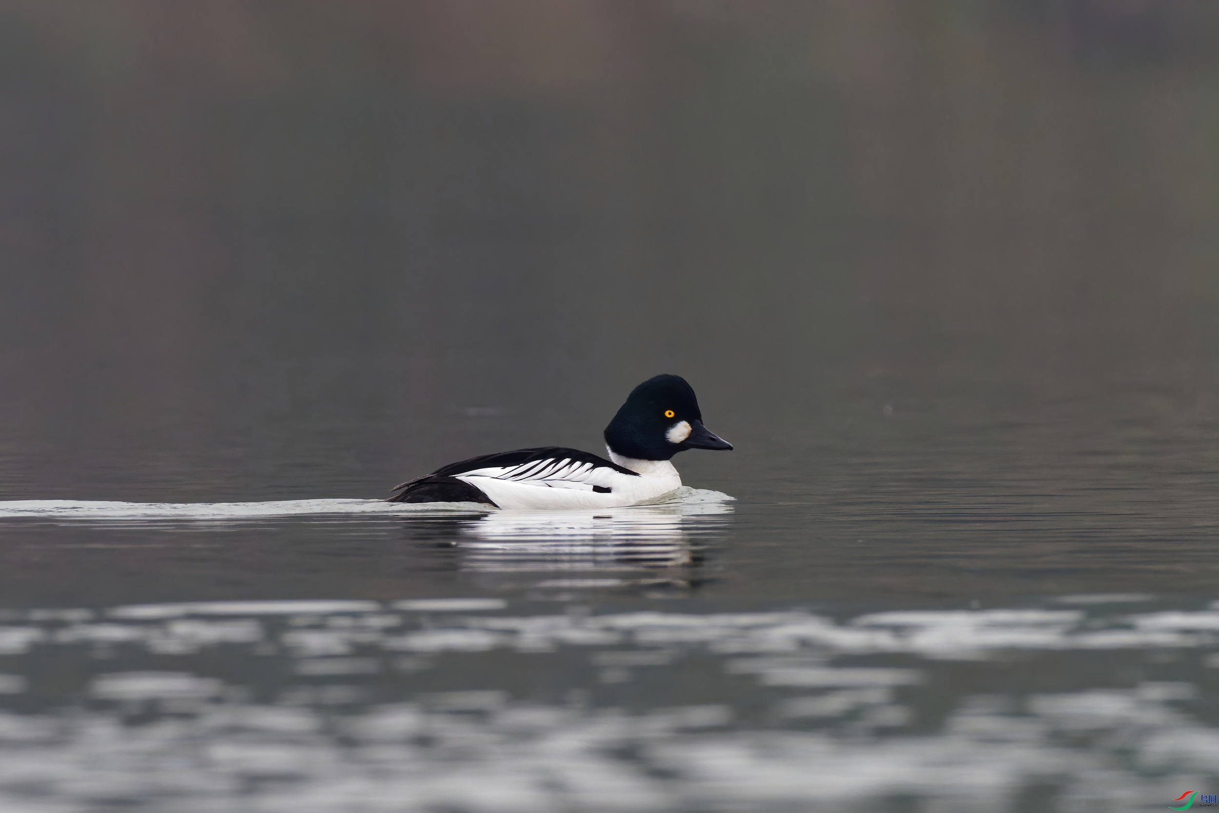 P1220120_DxO-d2.jpg
