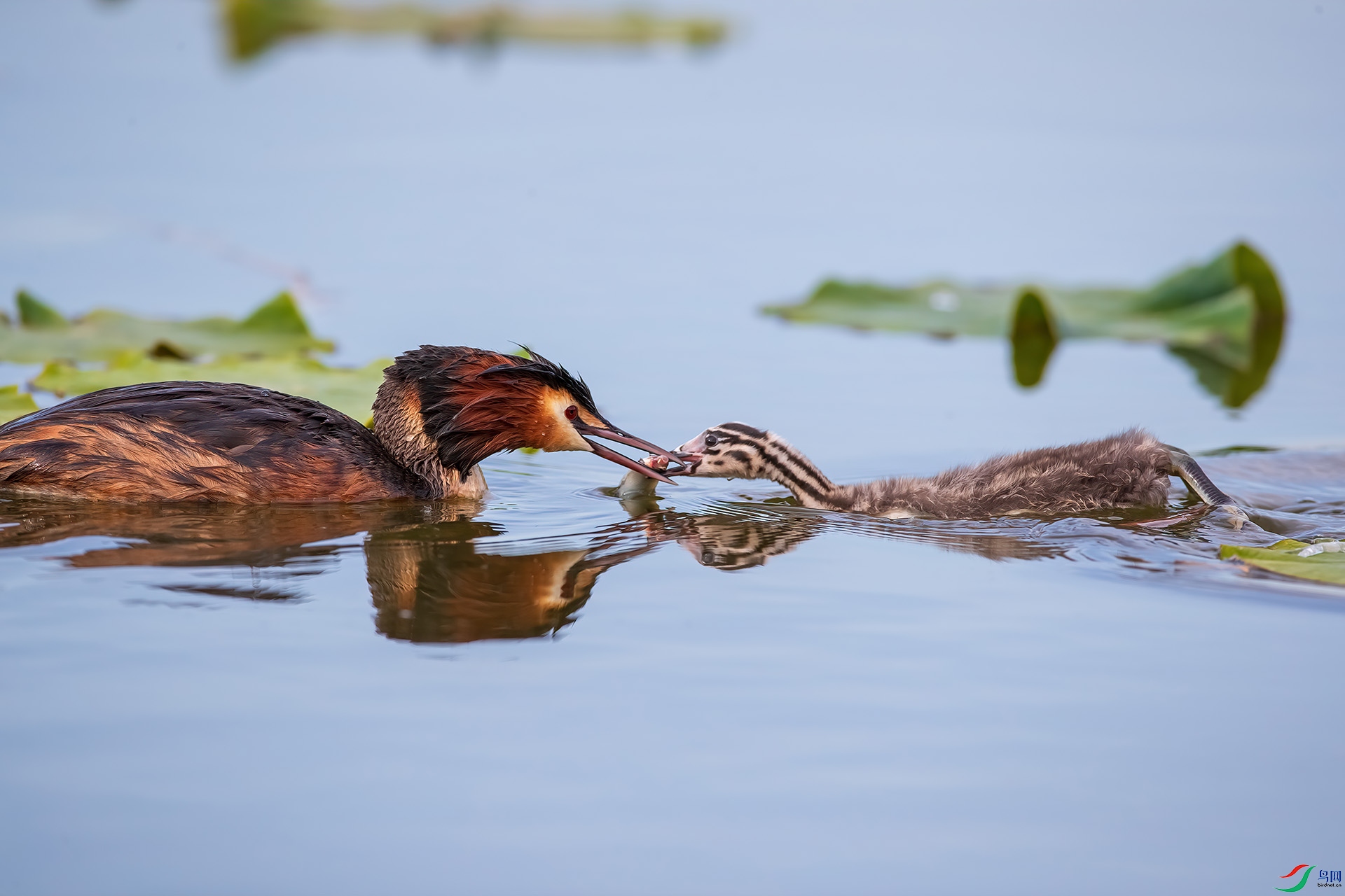 1DX_0396 ����.jpg