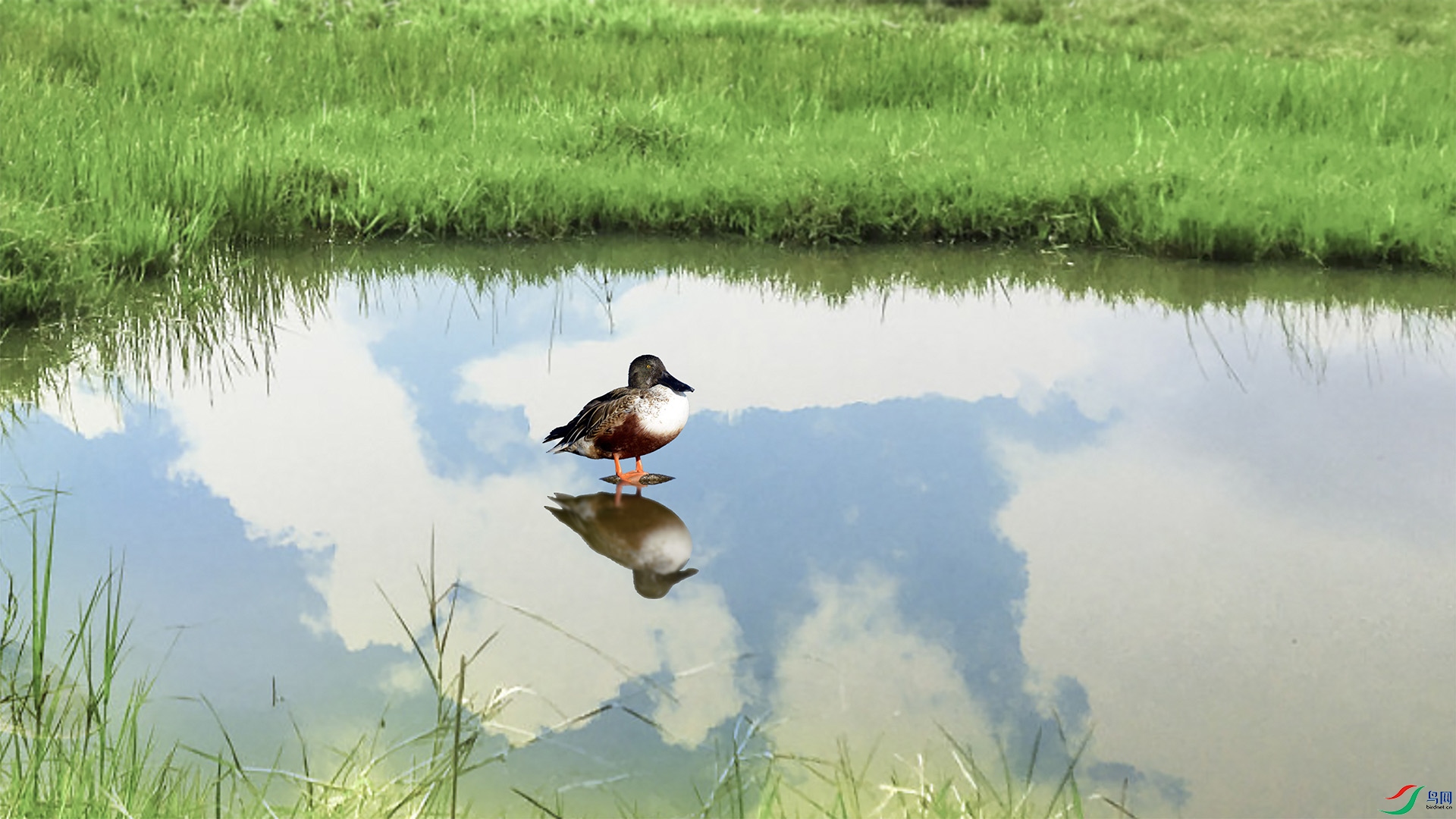 �䵥 1920x500k.jpg