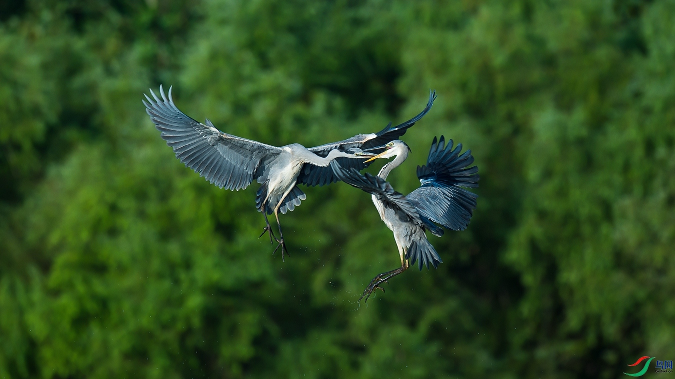 XCG_3173 - ����.jpg