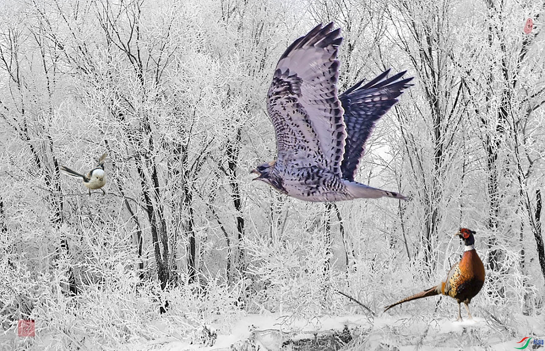 HTZ_19  82111111111.jpg