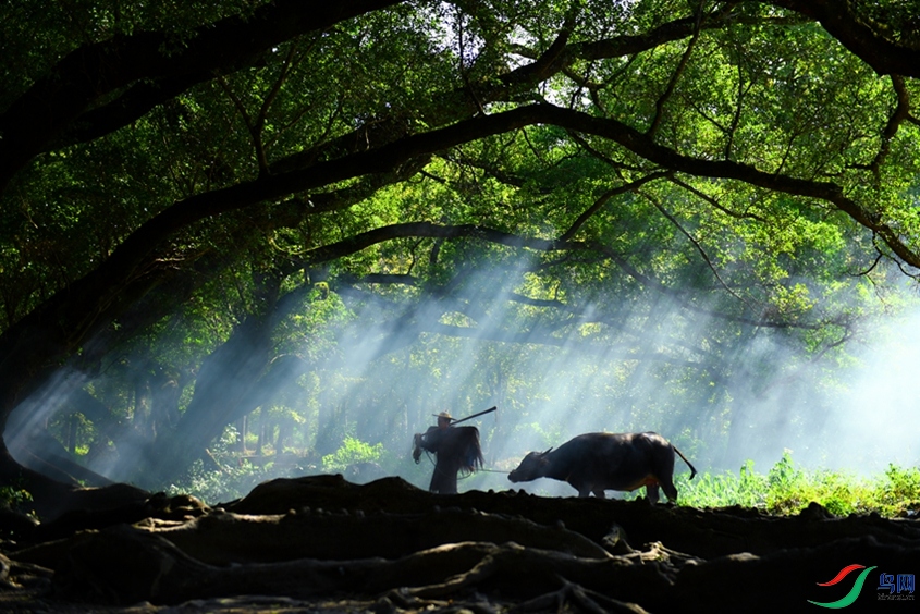 �ճ�����