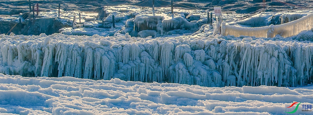 ���� _DSC5160-�ָ���.jpg