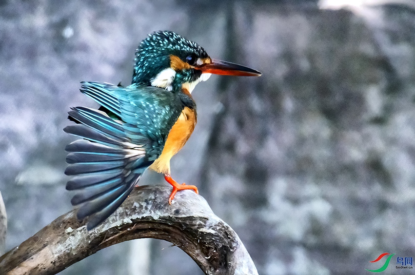 _DSC0004 ���� 2.jpg