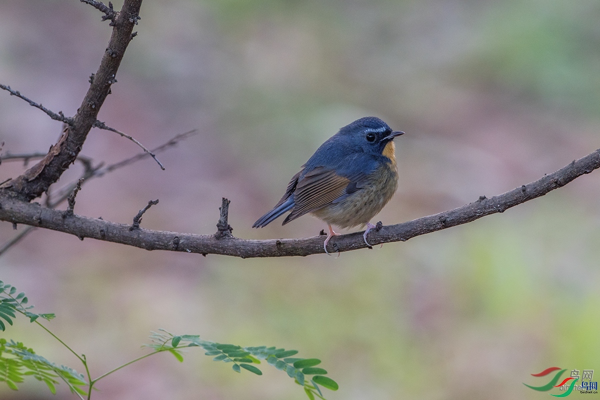 ���  ��ʦ����.jpg