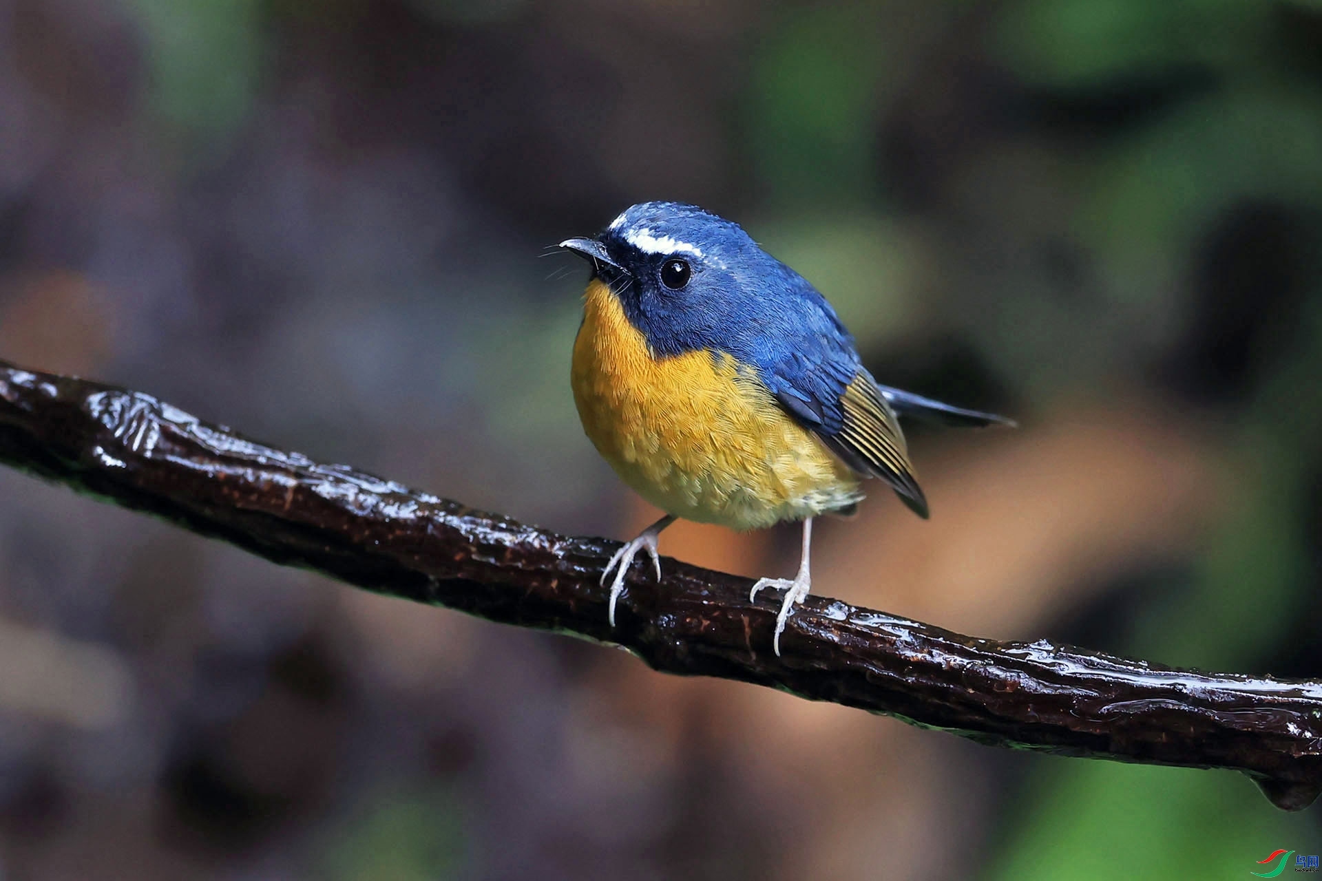 ������  ��ʦ����������ʡ��ɽ�� �ڳ���.jpg