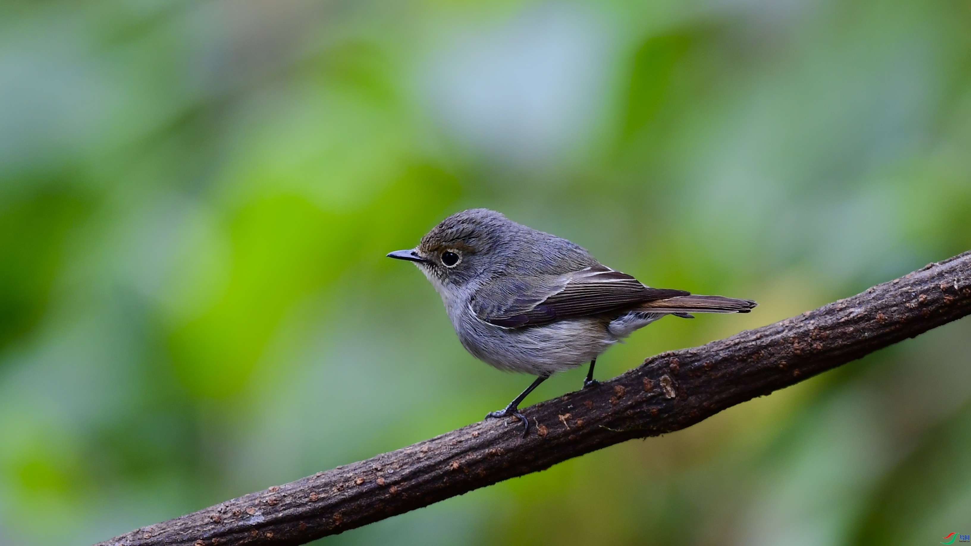 �����  ��ʦ����������ʡ��ɽ���ڳ���.jpeg