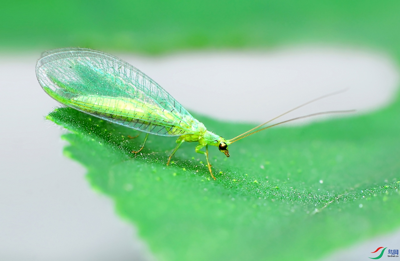 DSC_0048 ����.jpg