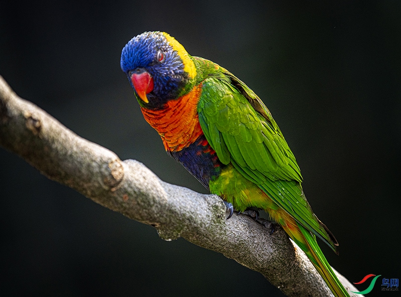 _GZ38204 ���� 2.jpg