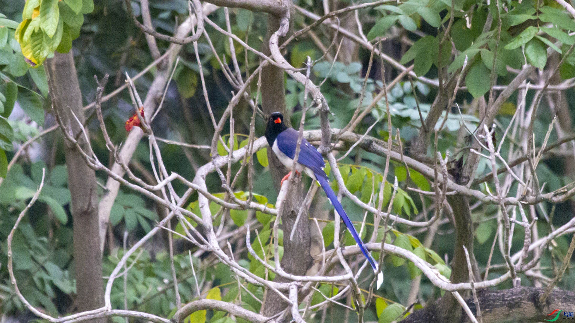 220124szzx_0775.jpg