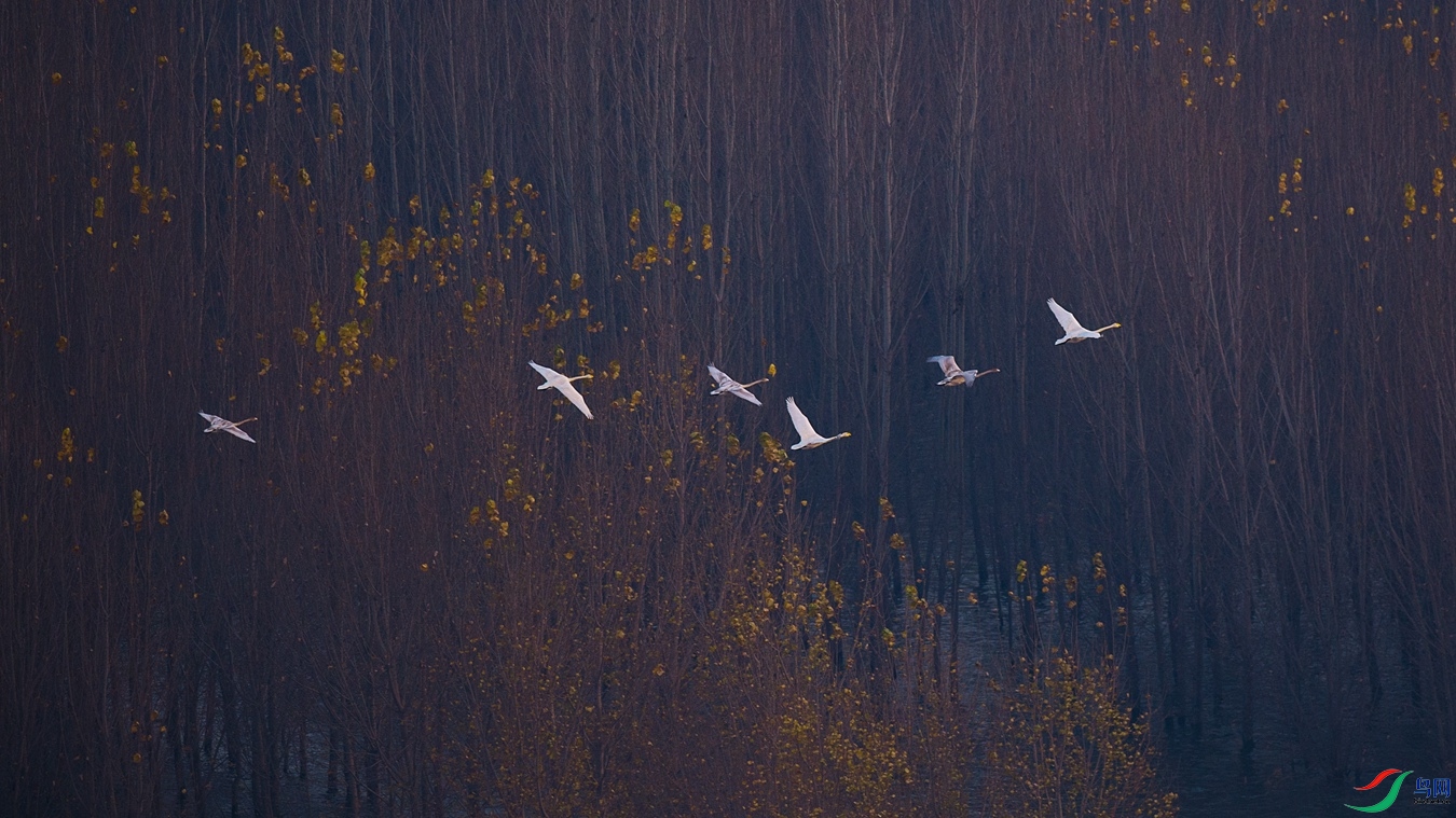 XCG_1561 - ����.jpg