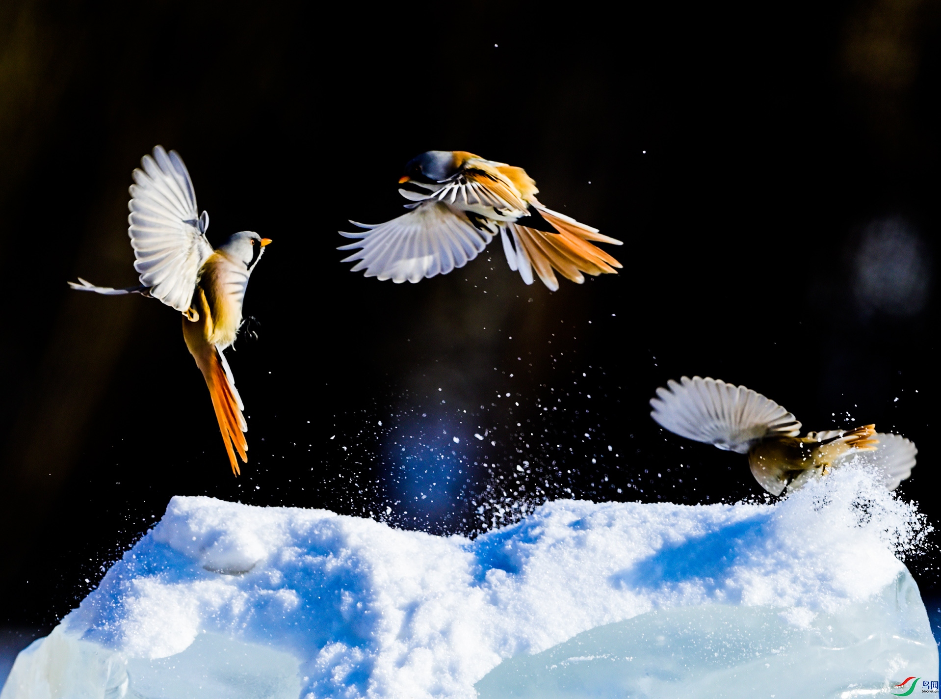 ����ʪ������֮ս