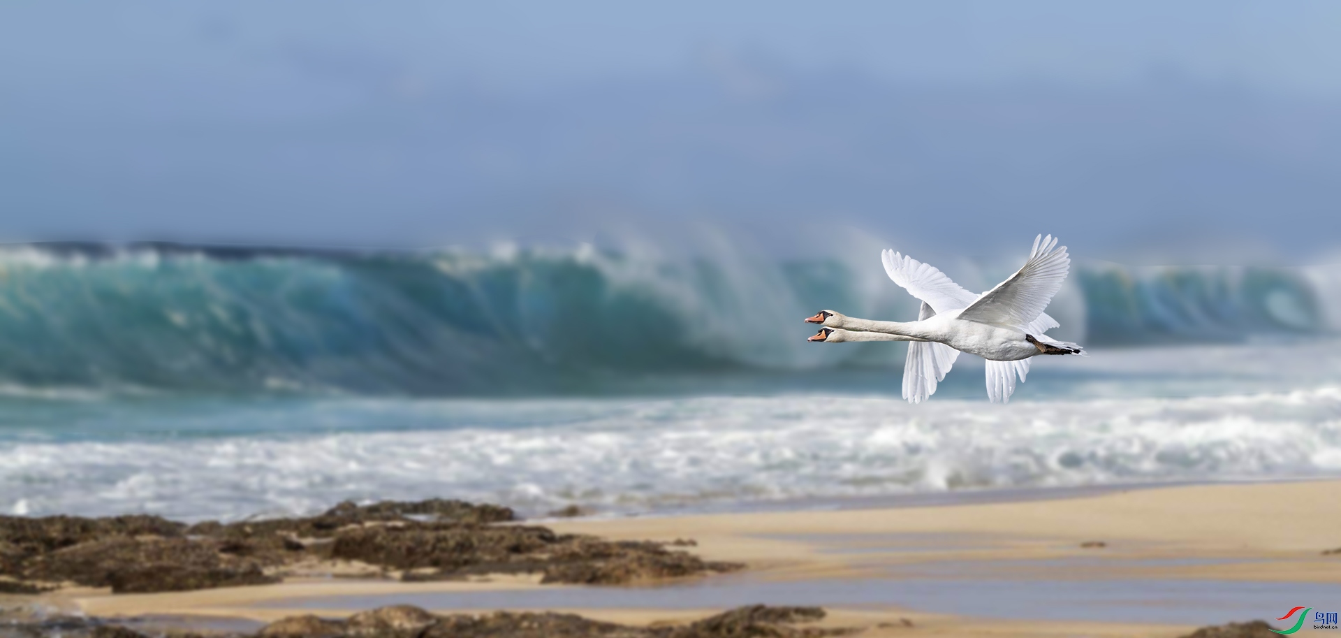 ���� 1920x500k.jpg