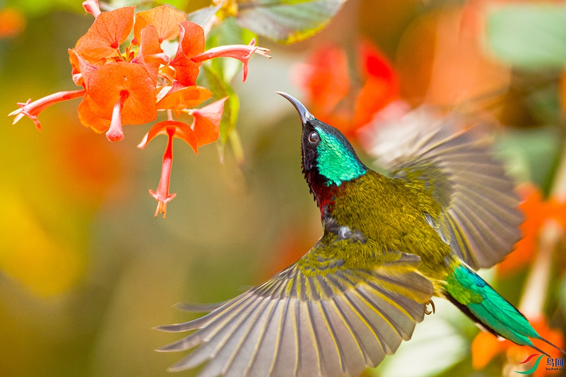 ��_DSC1603.jpg