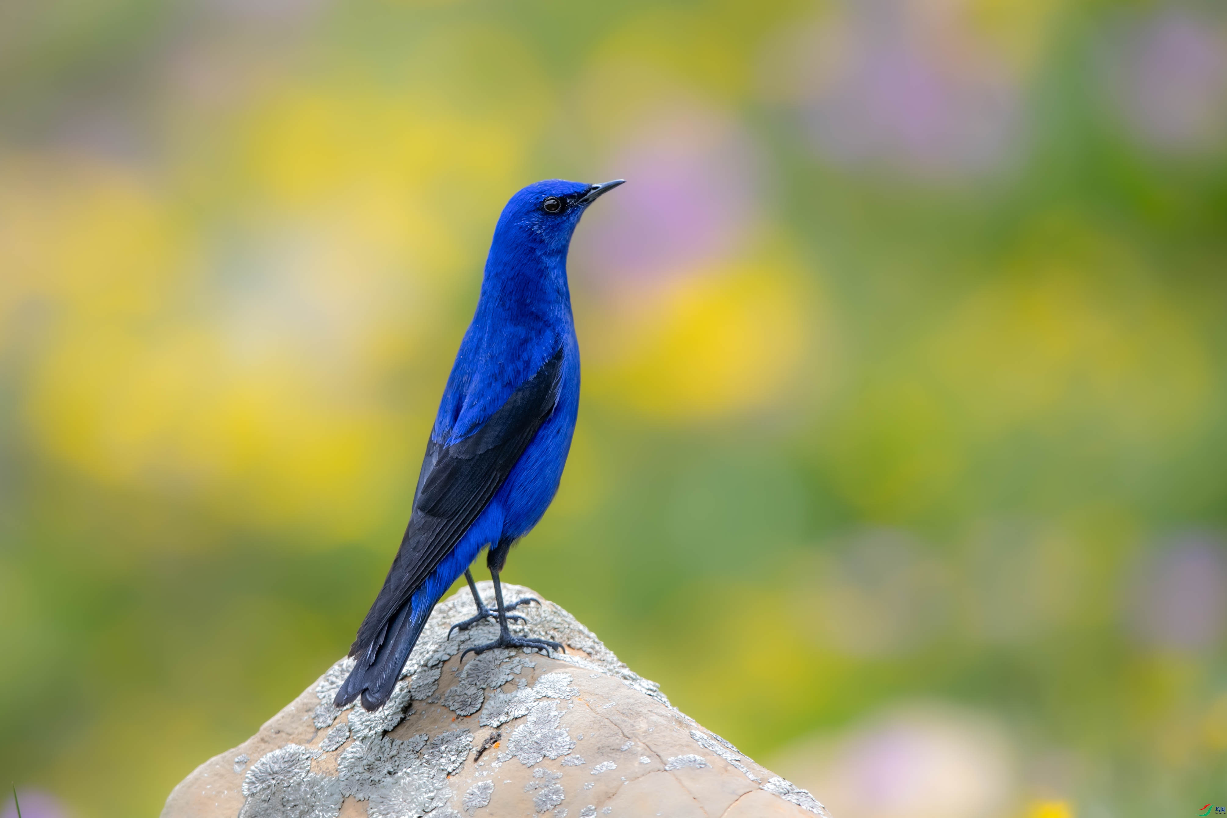 DSC_7299.jpg