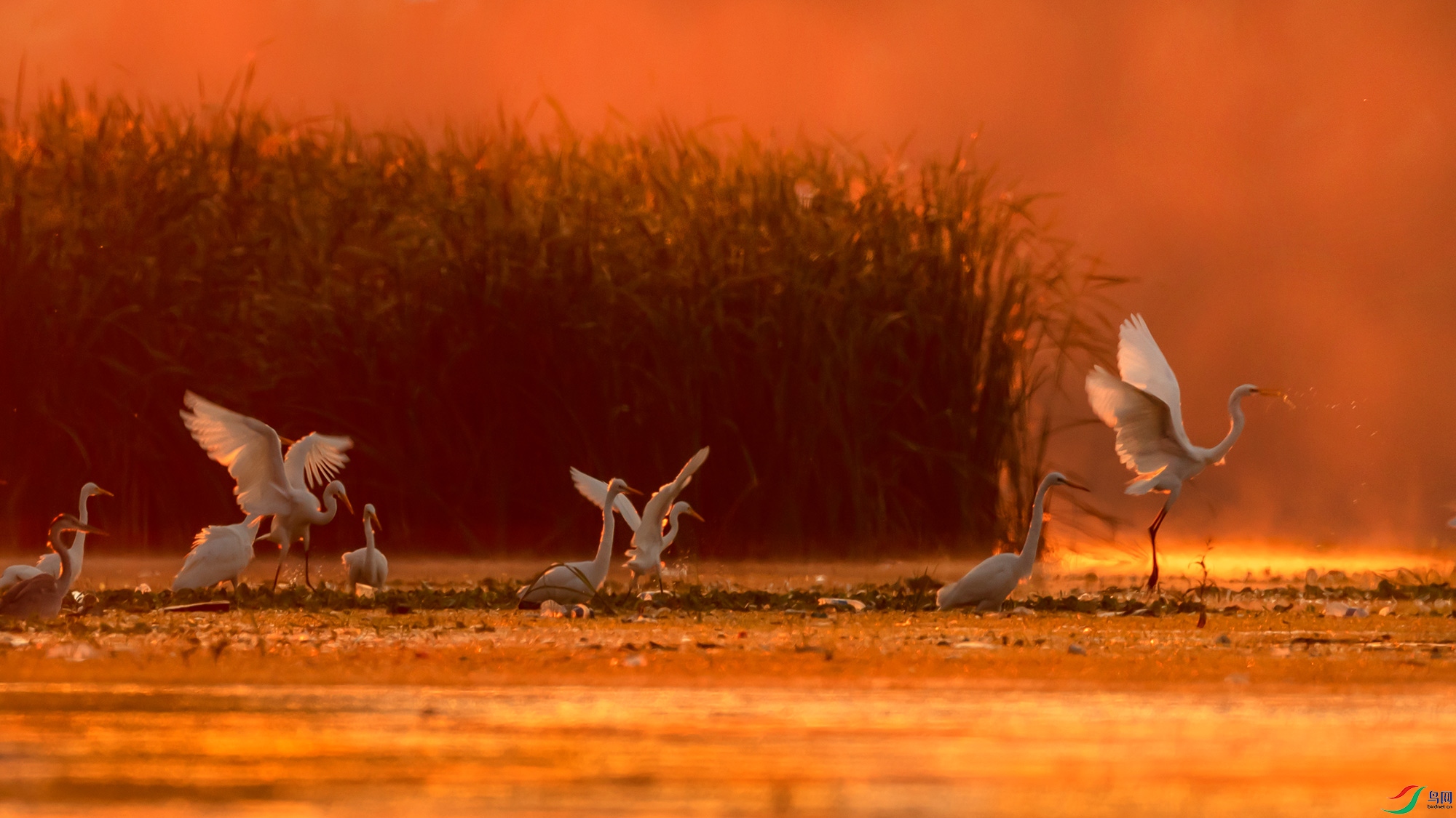 B74I8828-1a1.jpg