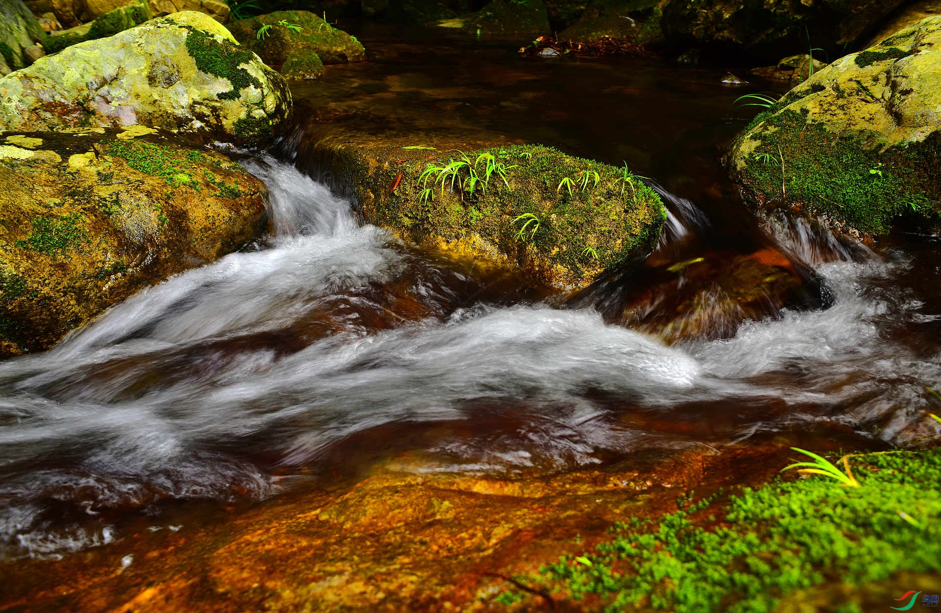 D8I_4225.jpg