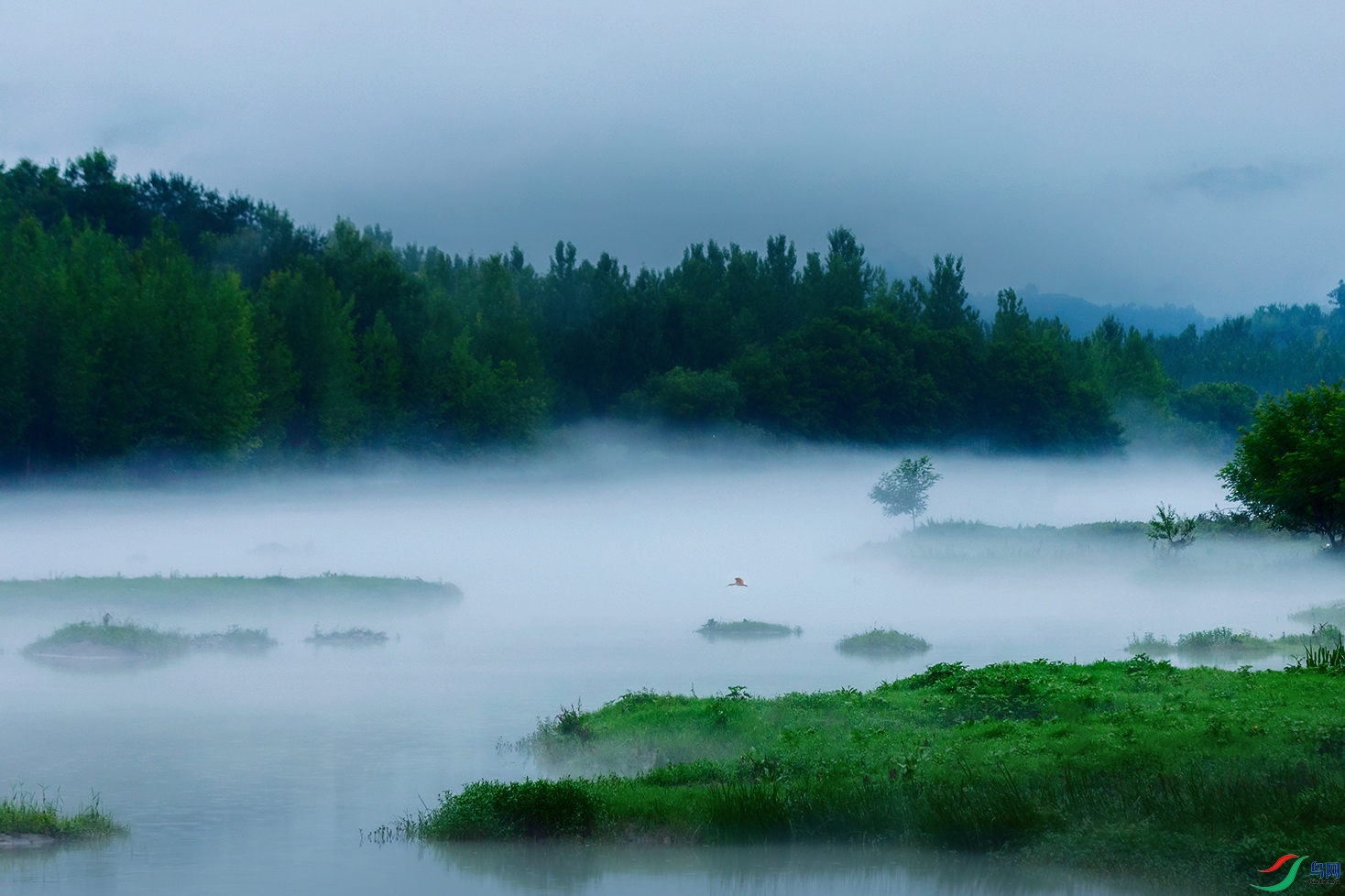 ������������