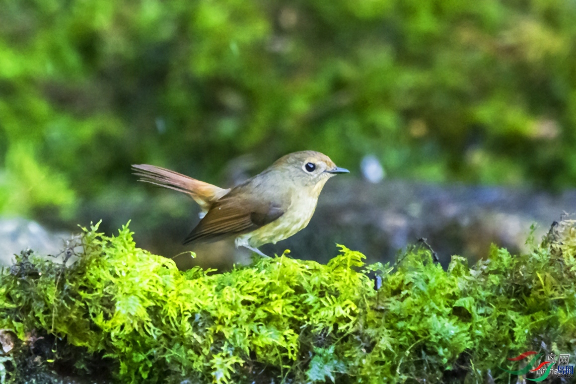 ��������  ��ʦ����������ʡ��ɽ��.jpg