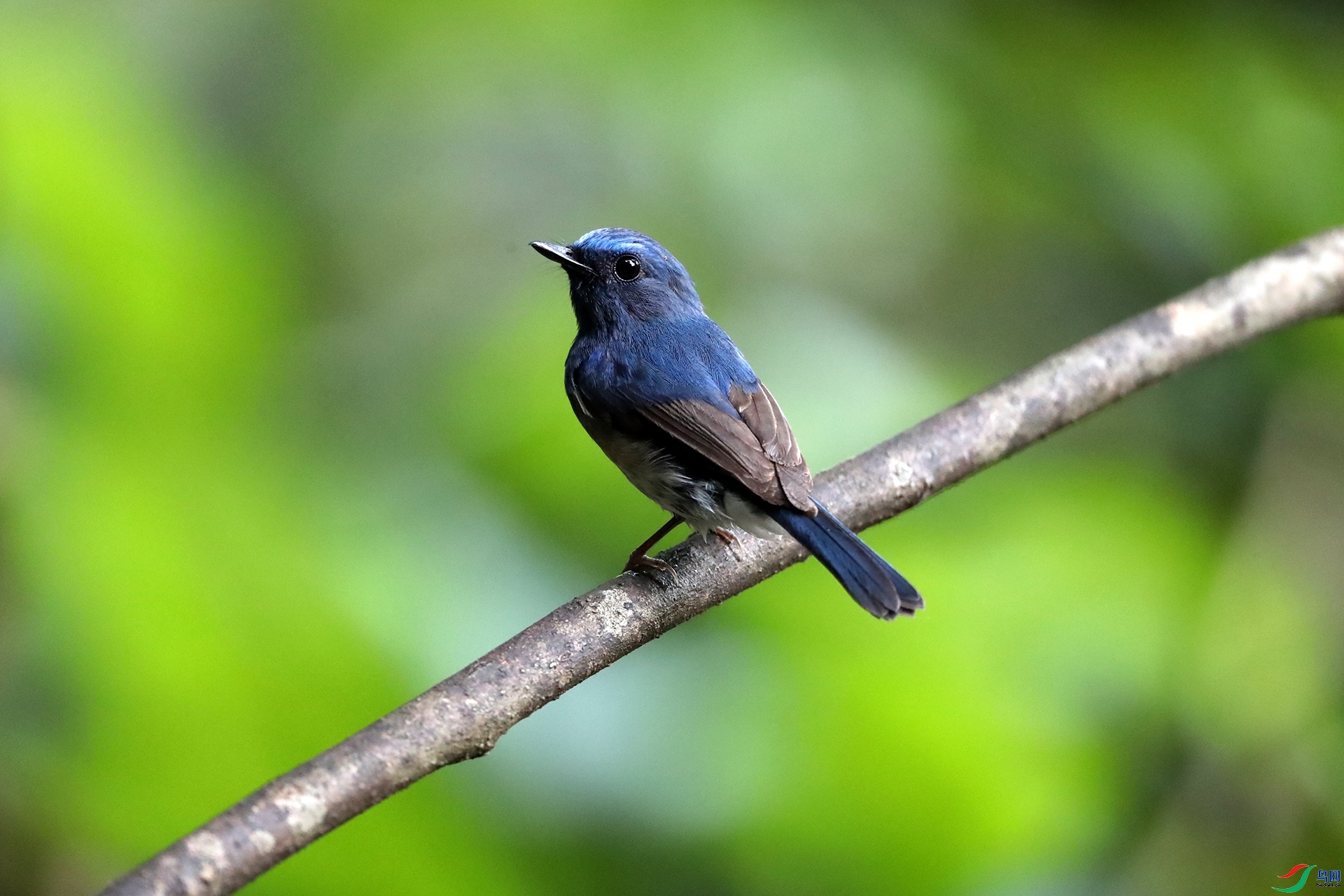 ������  ��ʦ�����ڹ���׳��������������.jpg