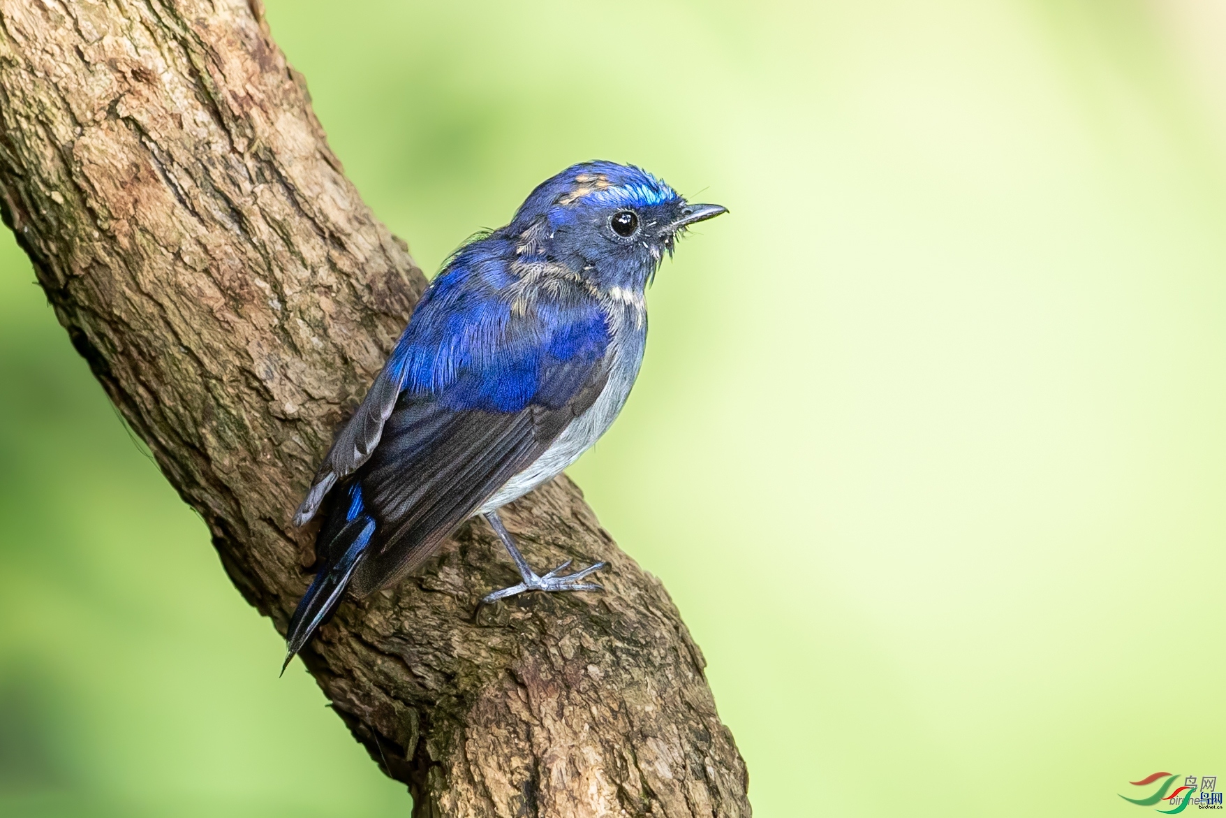 ������  ��ʦ����������ʡ��ɽ��.jpg