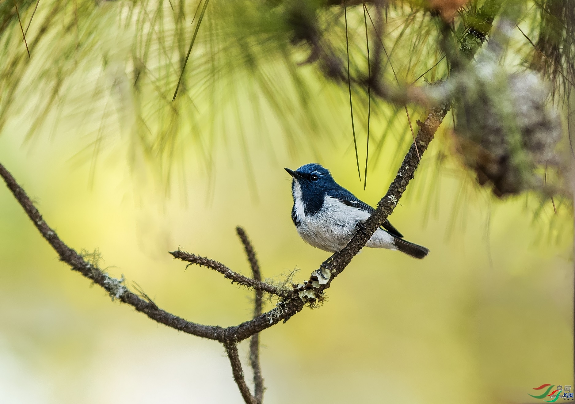 ǳЦ��Ȼ  ��ʦ����.jpg