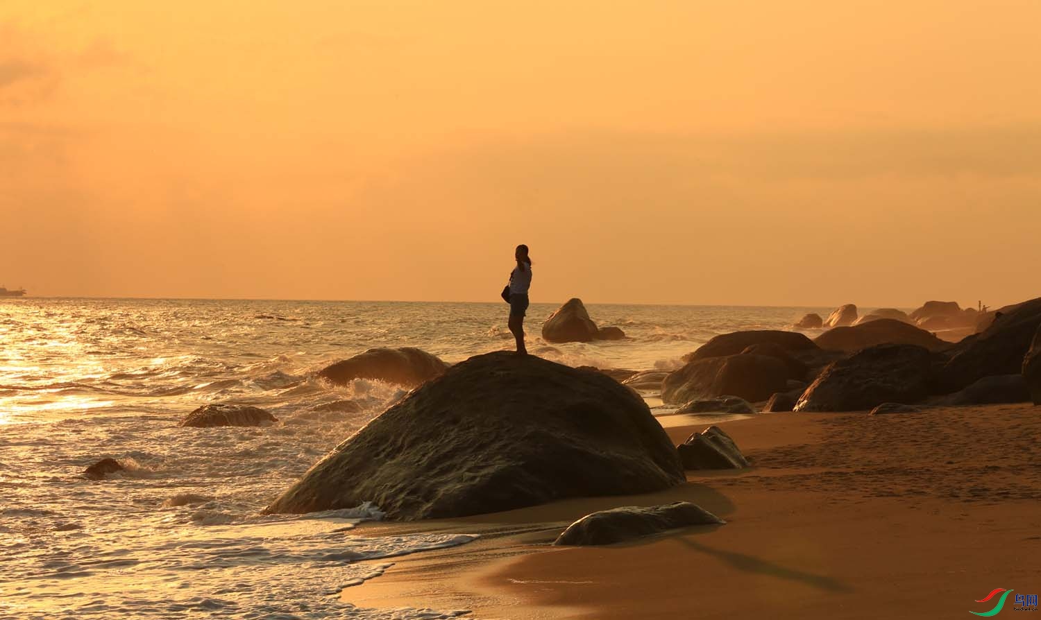 ������ۼ