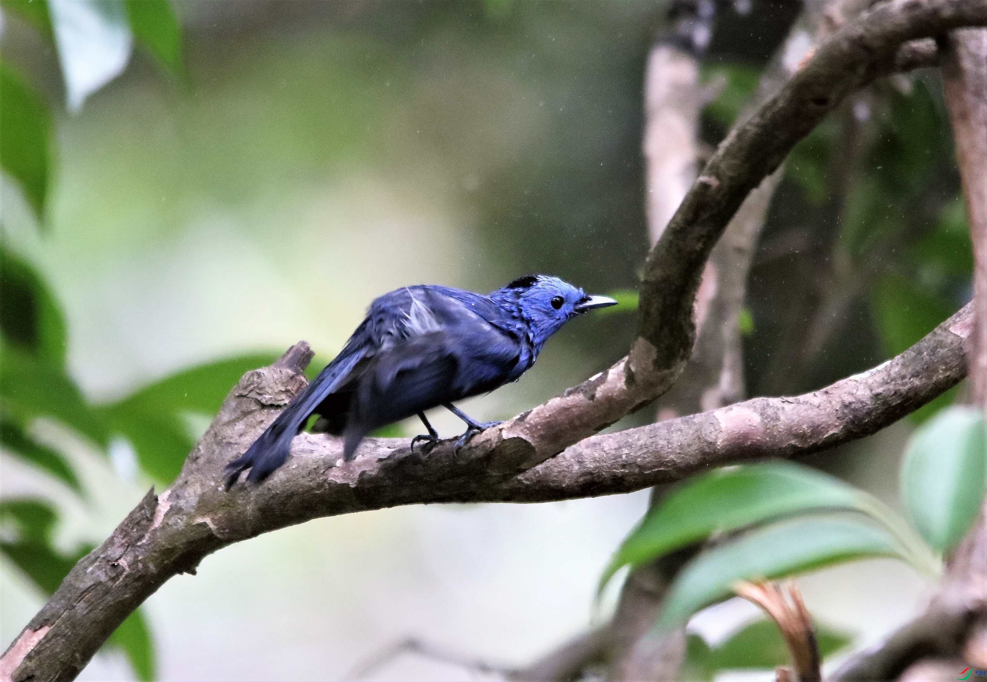 �������O (86).JPG