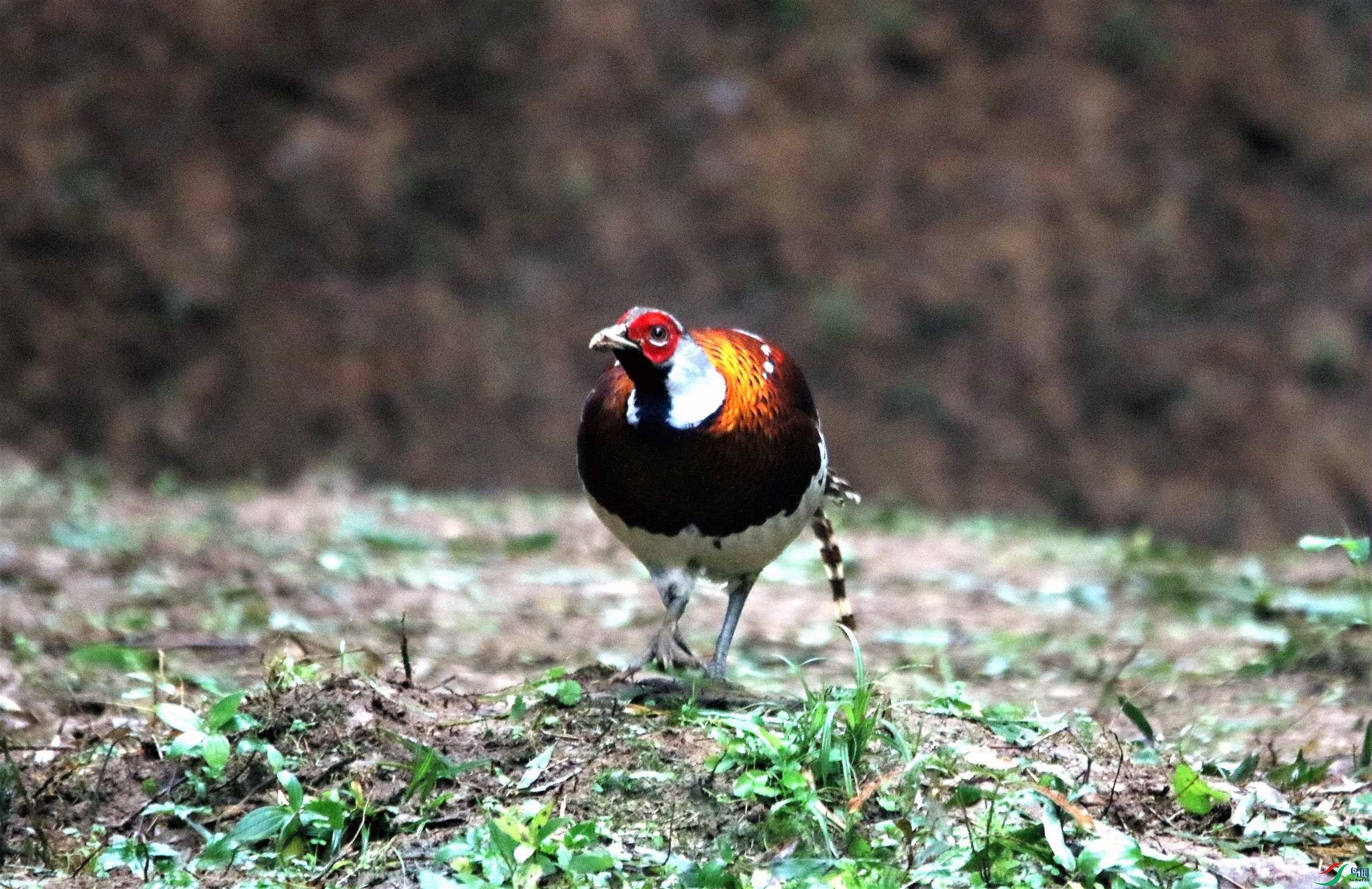 �׾����� (39).JPG