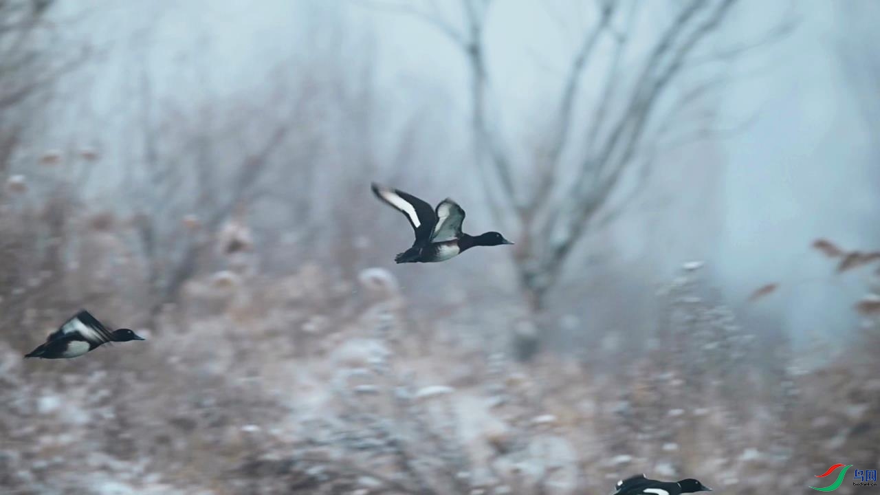 2022-01-24 22-12-07.jpg