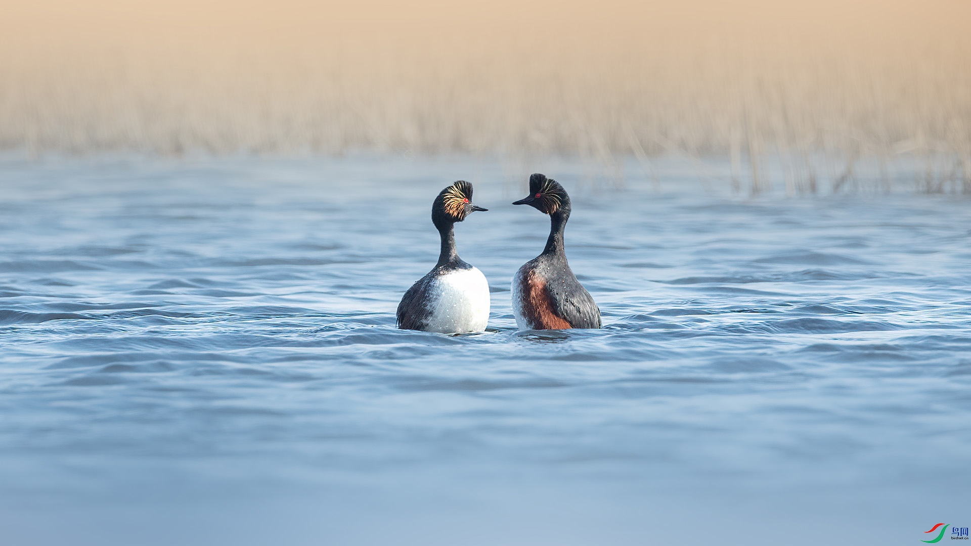 1DX_1263 ����.jpg