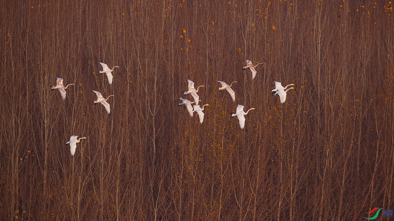 XCG_3813 - ����.jpg