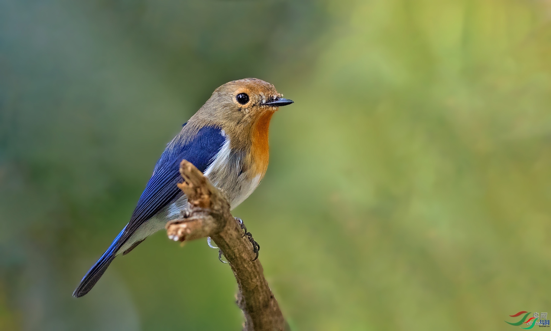 lţţ  ��ʦ����������ʡ�º���徰����������ӯ����.jpg