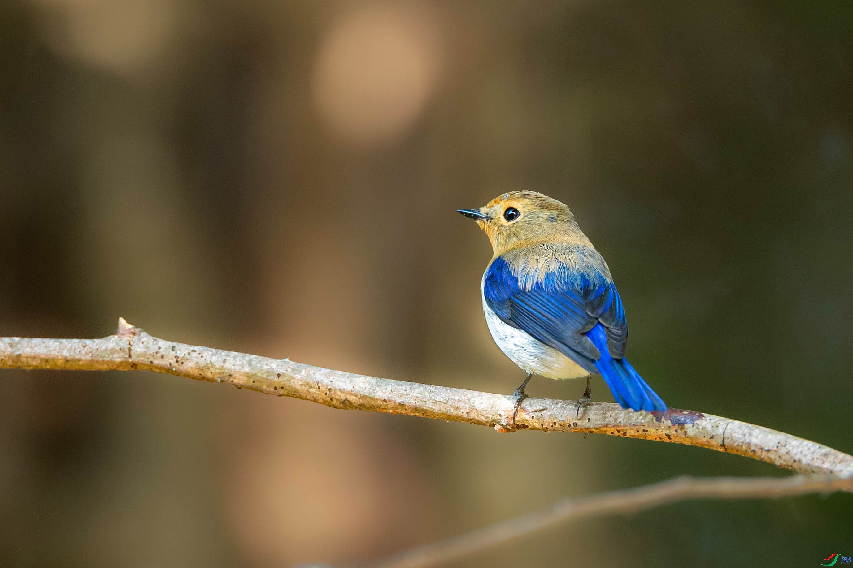 ����·  ��ʦ����������ʡ�º���徰����������ӯ����.jpg