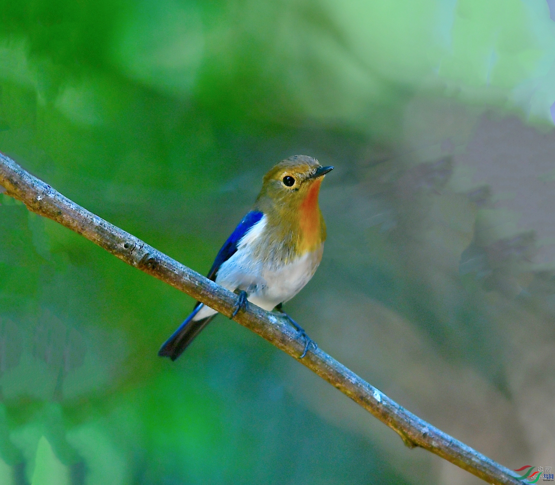 ������  ��ʦ����������ʡ�º���徰����������ӯ����.jpg