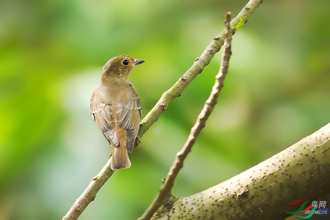 �ٺ����  ��ʦ�����ڹ㶫ʡ������.jpg