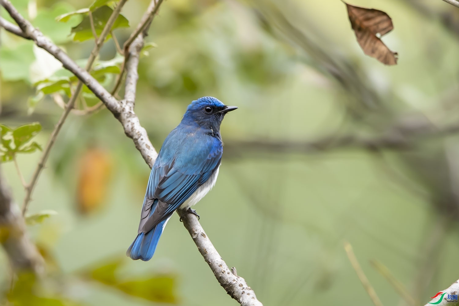 ����  ��ʦ�����ڹ㶫ʡ�ع�����Դ����������.jpg