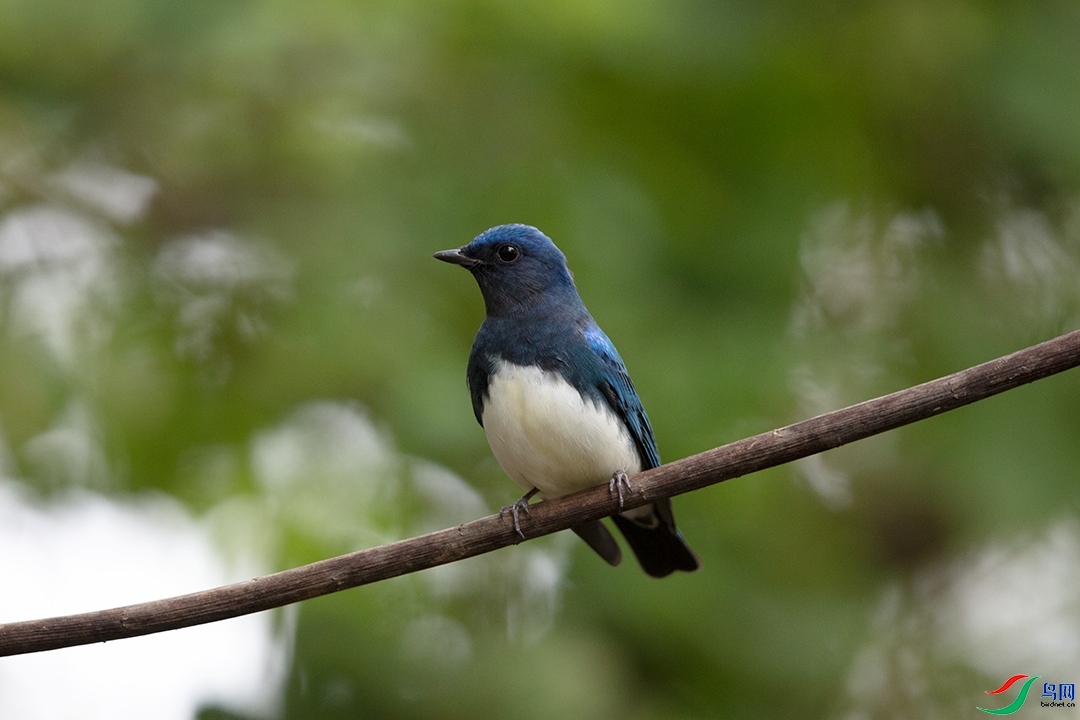 ��������  ��ʦ�������Ϻ����ֶ�����.jpg