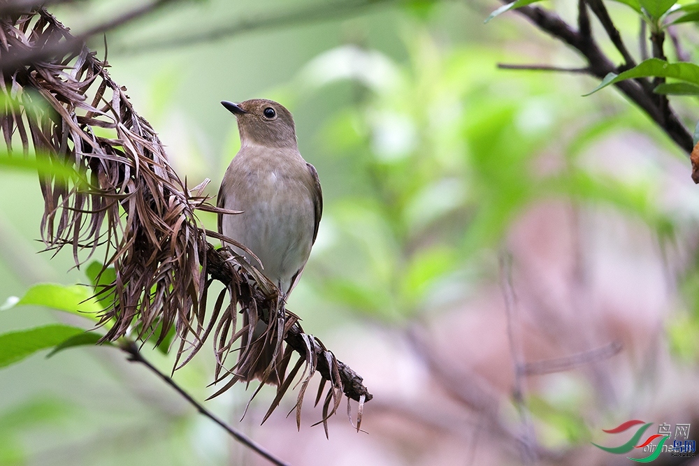 ��������  ��ʦ�����ڸ���ʡ�����и�����.jpg