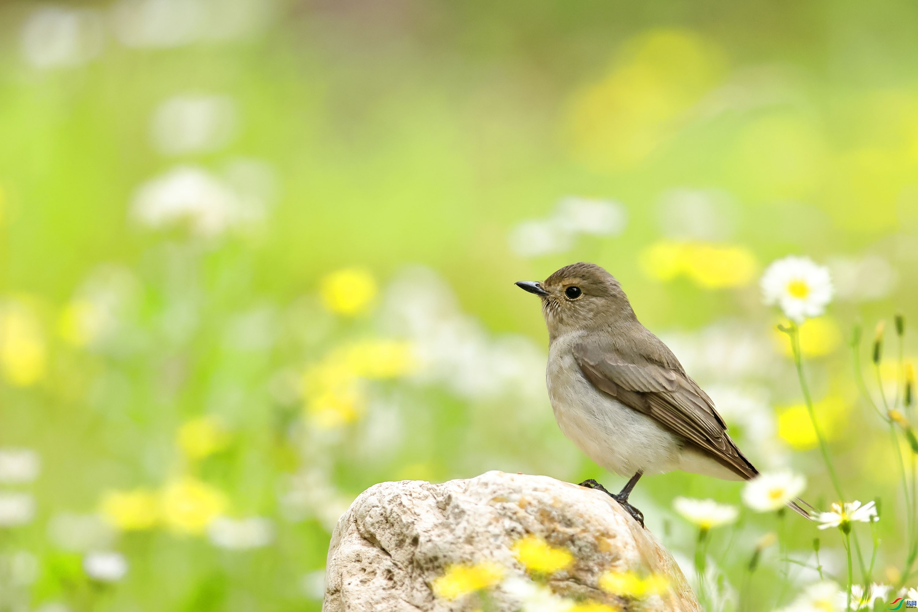 ��������   ��ʦ����������ʡ�������躣��.jpg