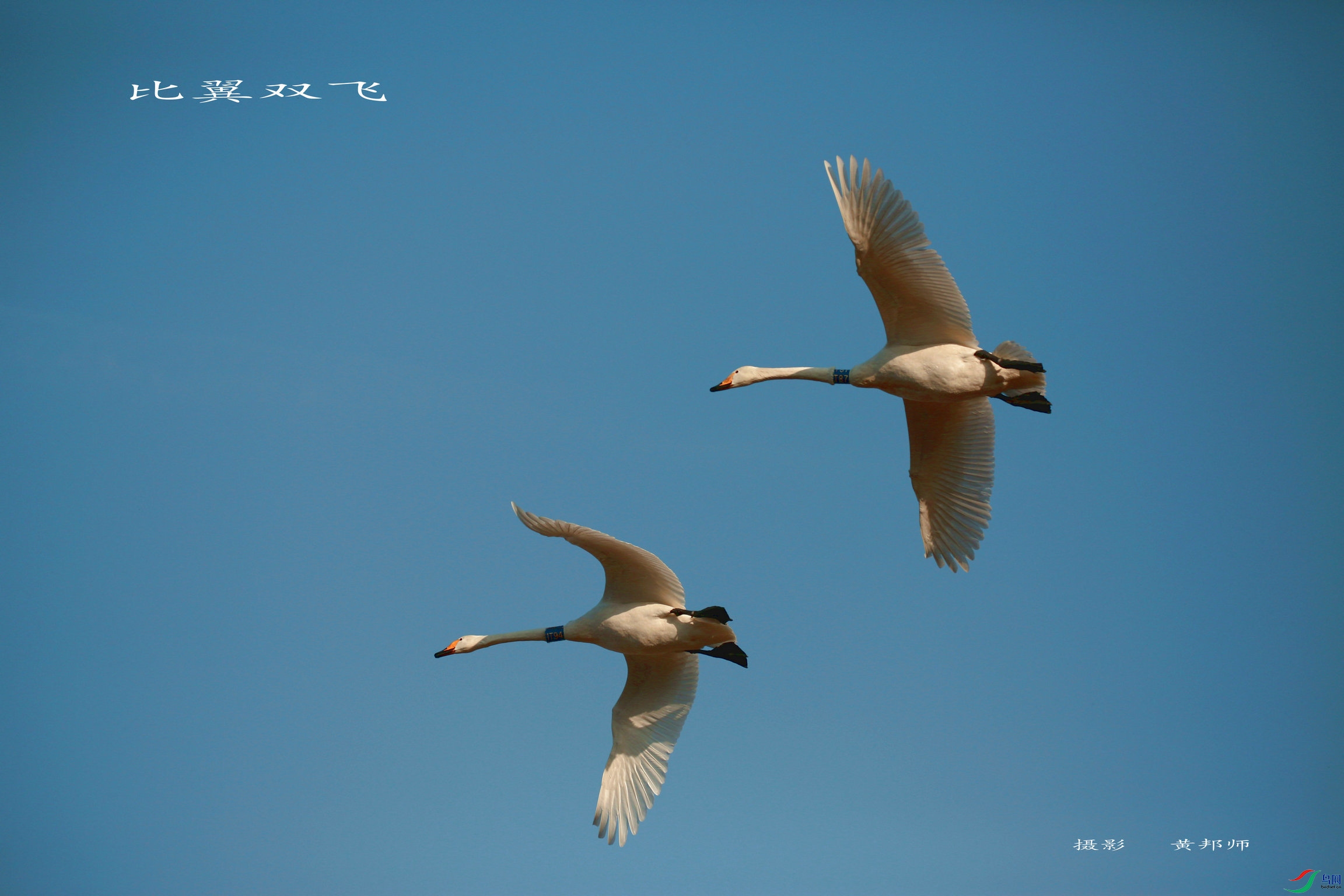 BG3A0647_���� - ���� - ���� - ����_����_����.jpg