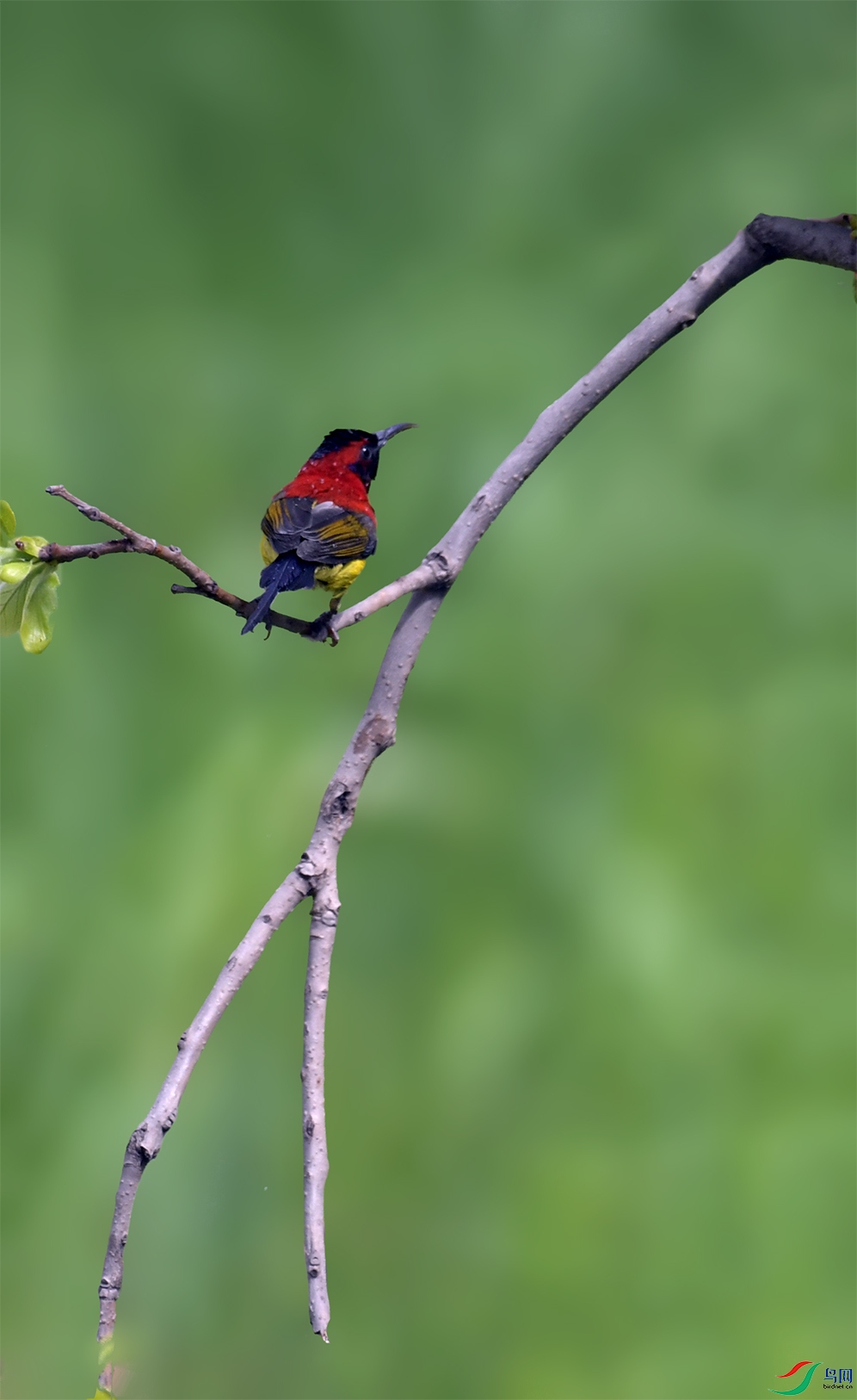 _GZ30100 ����.jpg